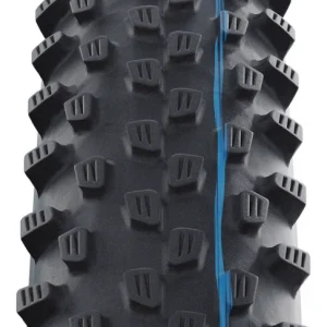 Schwalbe Racing Ray Addix Speedgrip Super Ground SnakeSkin Tubeless Easy E-25 29×2.25 Reifen Neu Stil 11